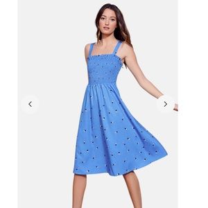 Hutch Blue Synchro Swimmers